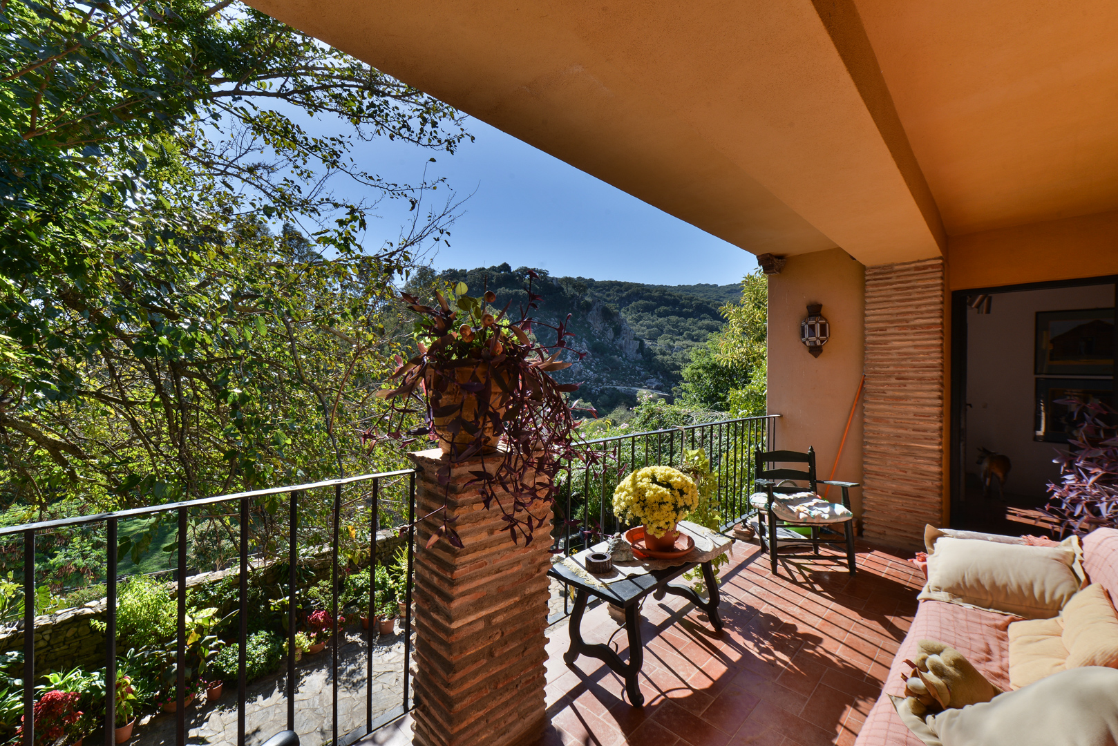 Preciosa Hacienda con Casa para Huéspedes, Jimena de La Frontera