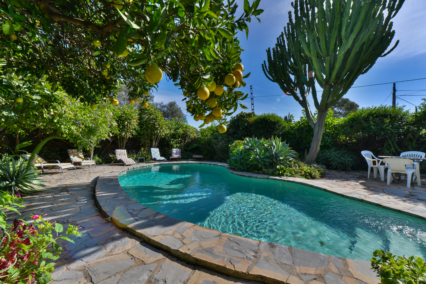 Preciosa Hacienda con Casa para Huéspedes, Jimena de La Frontera