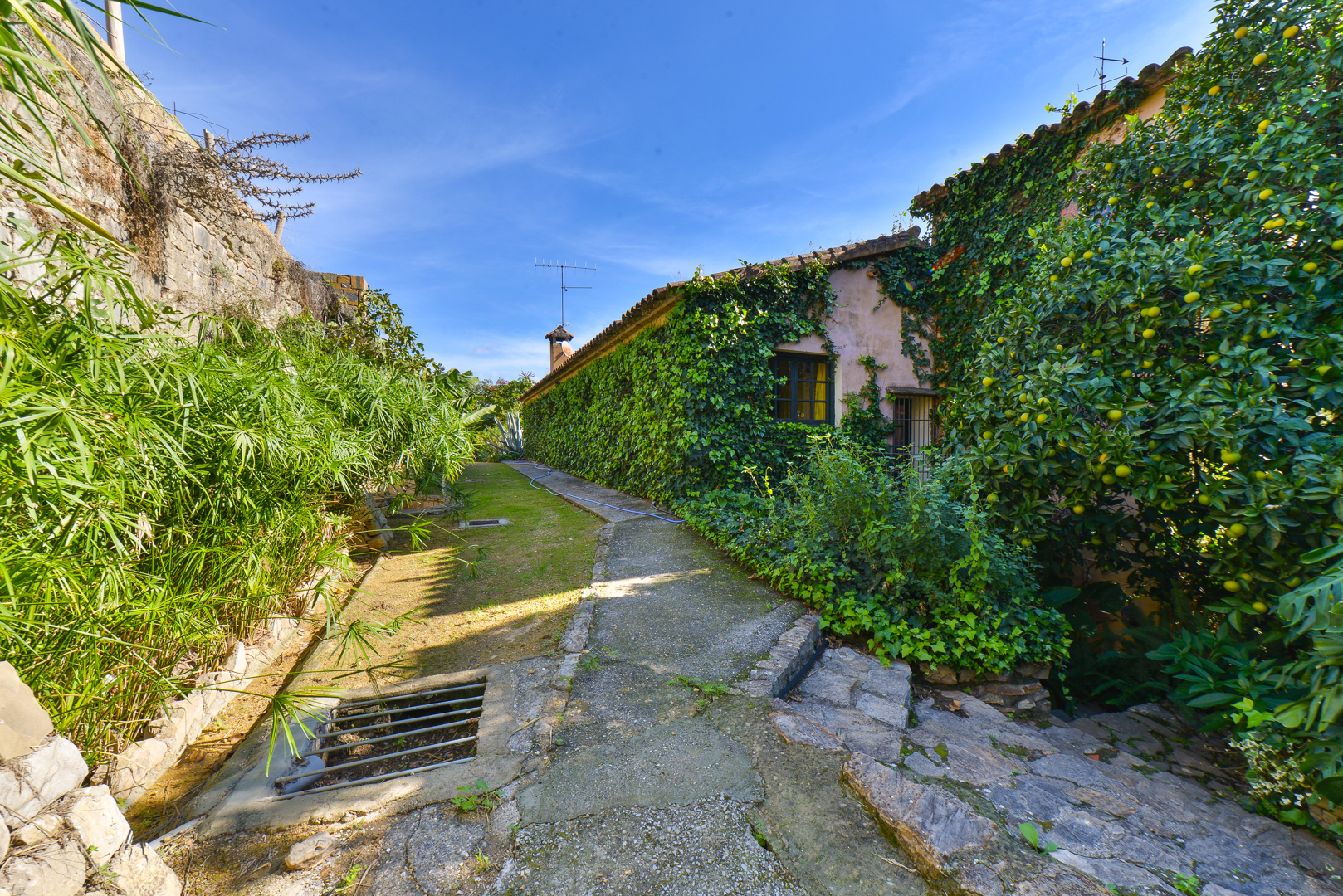 Preciosa Hacienda con Casa para Huéspedes, Jimena de La Frontera